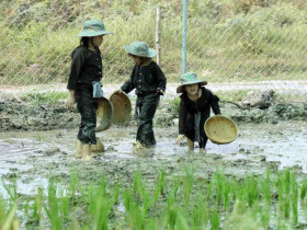  - TP.HCM thúc đẩy mạnh mẽ phát triển du lịch, tập trung vào nông thôn và cộng đồng