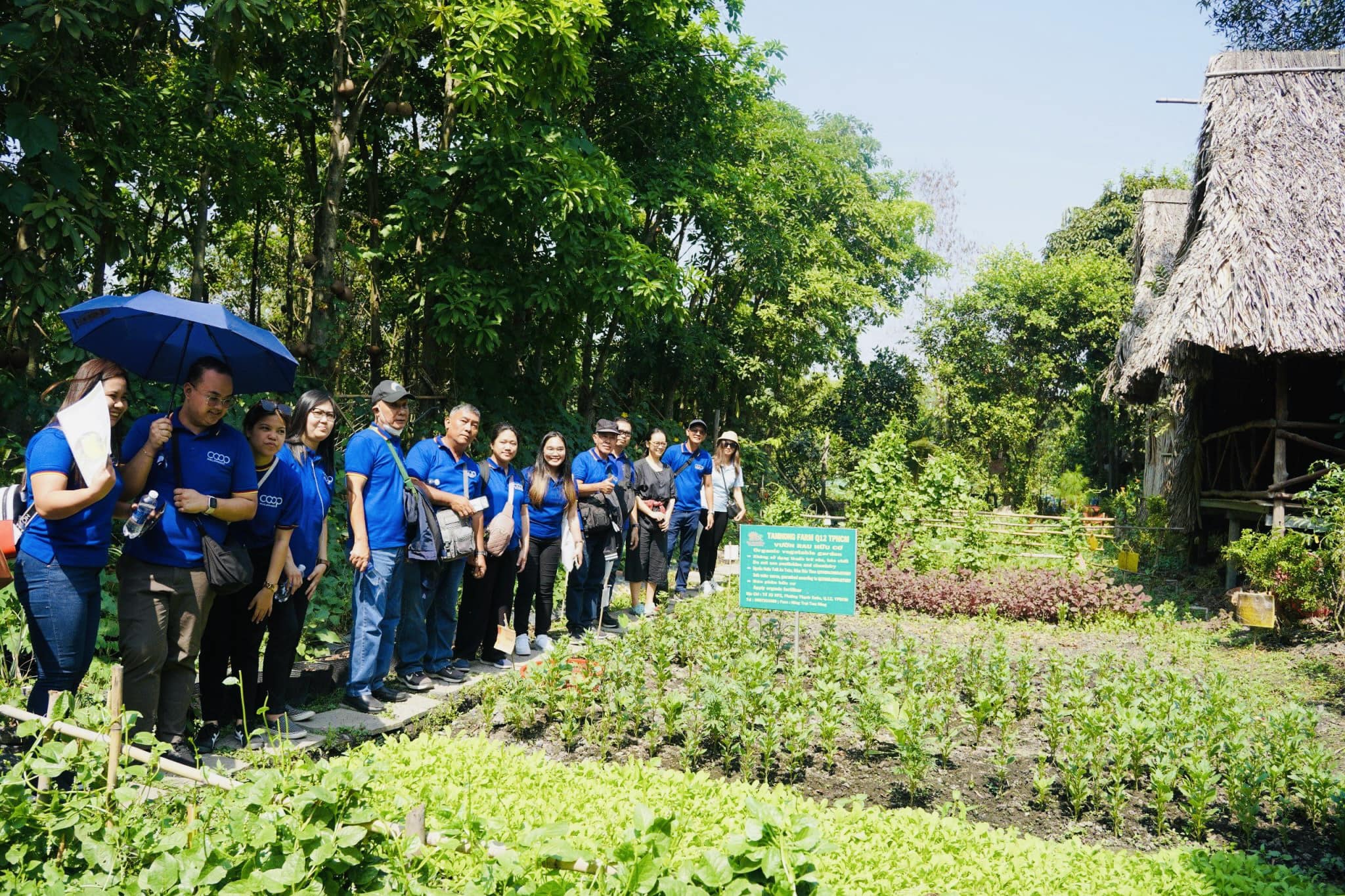 TP.HCM: Phát triển ngành nghề nông thôn kết hợp du lịch xanh - 1