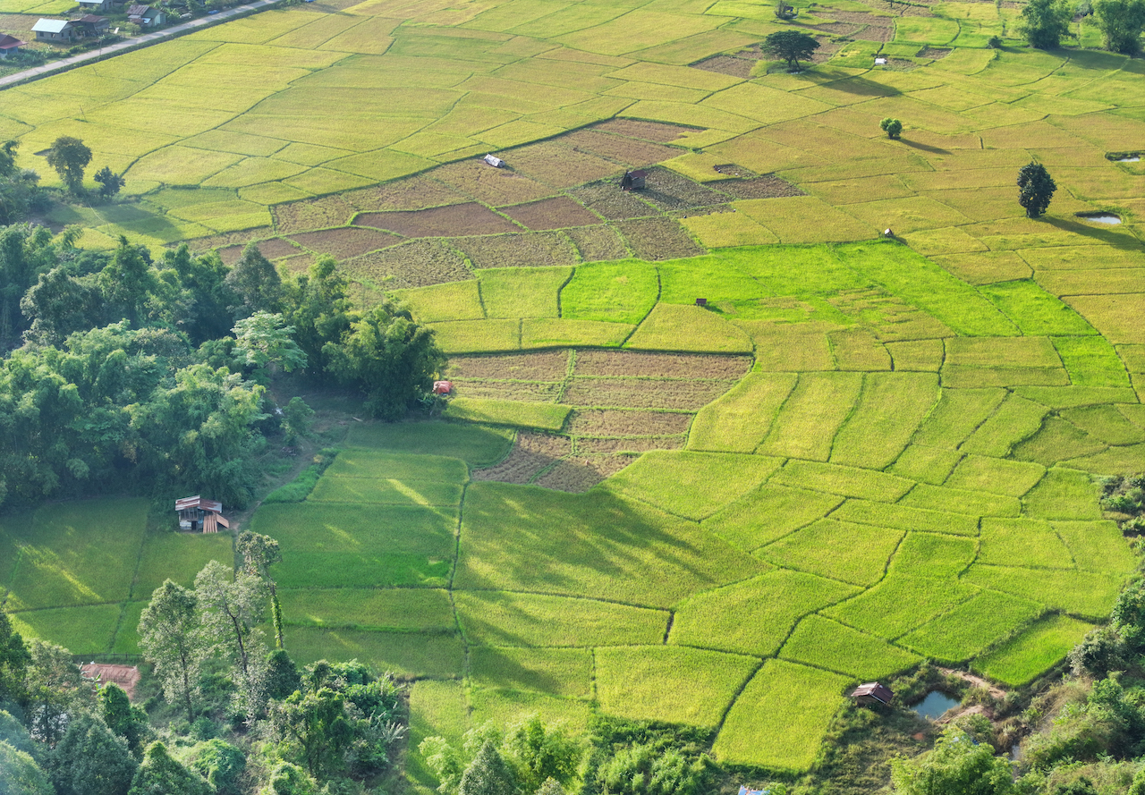 travel blogger viet: o nha to chim, du zipline ngam da voi tai lao - 5