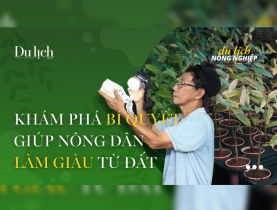  - Nông dân TP.HCM chịu khó, sáng tạo đạt thu nhập 'khủng'