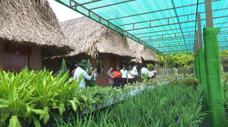 Bình Chánh học hỏi kinh nghiệm phát triển du lịch nông nghiệp tại Sa Đéc - 1