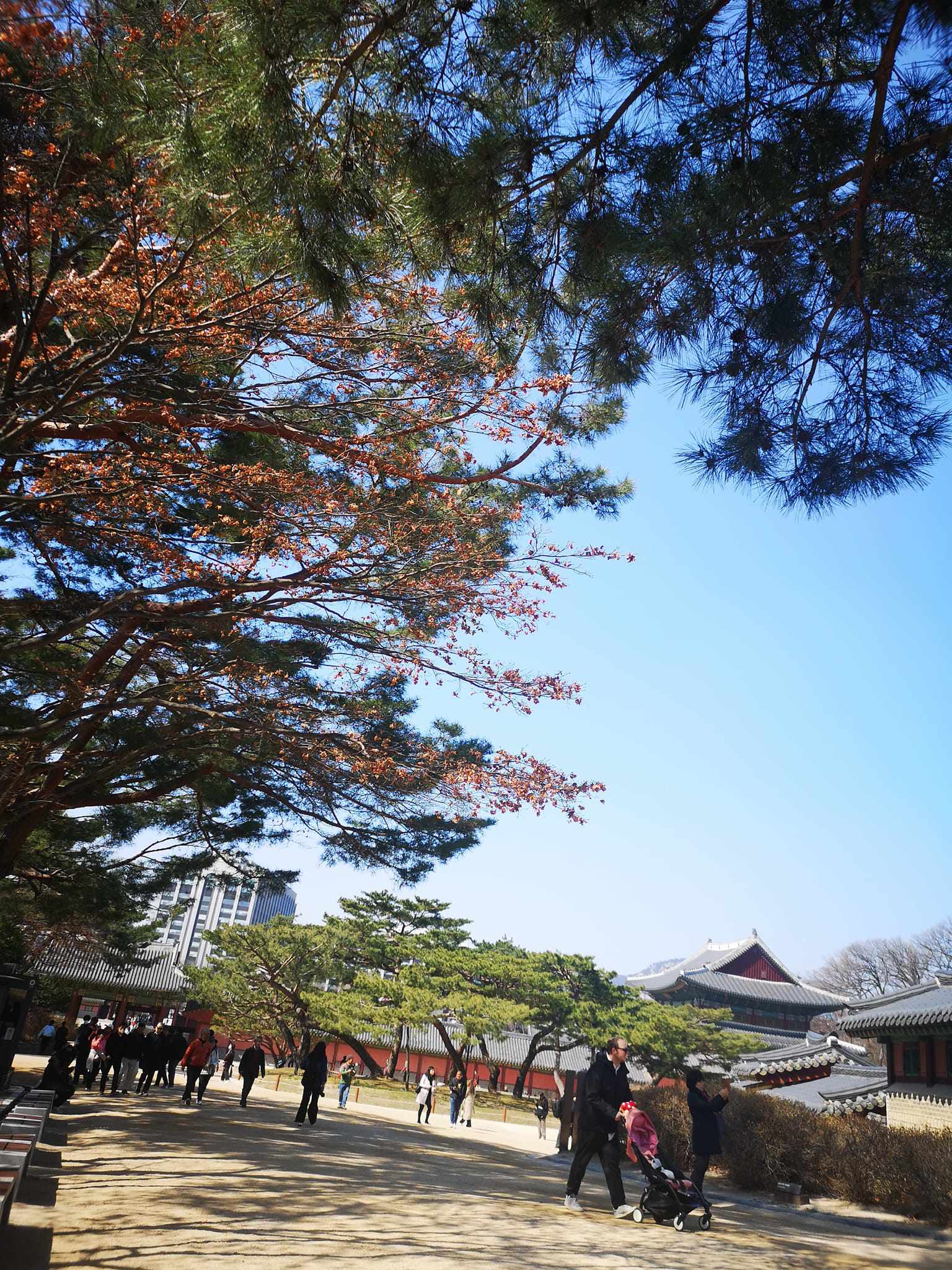 Cung điện Gyeongbokgung - nơi "người phụ nữ tạo dáng Yoga gây tranh cãi" có gì nổi bật - 7