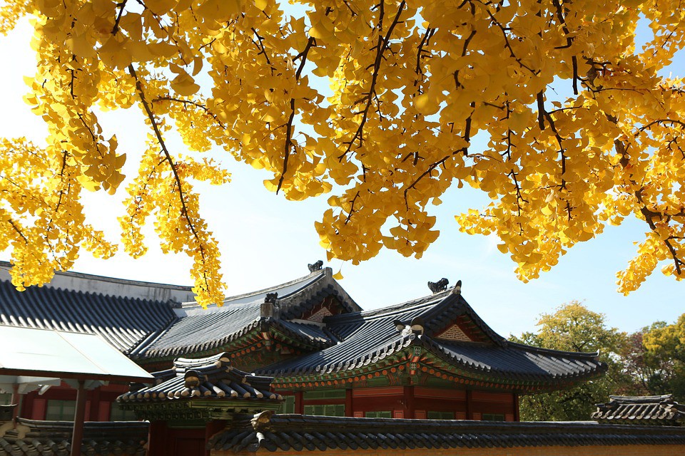 Cung điện Gyeongbokgung - nơi "người phụ nữ tạo dáng Yoga gây tranh cãi" có gì nổi bật - 20