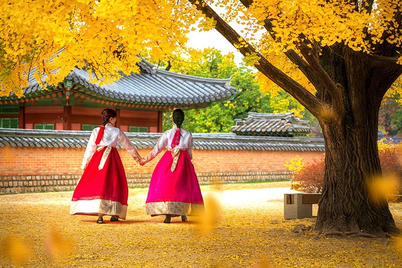 Cung điện Gyeongbokgung - nơi "người phụ nữ tạo dáng Yoga gây tranh cãi" có gì nổi bật - 12