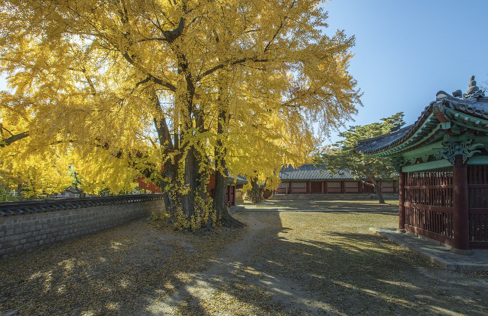 Cung điện Gyeongbokgung - nơi "người phụ nữ tạo dáng Yoga gây tranh cãi" có gì nổi bật - 6