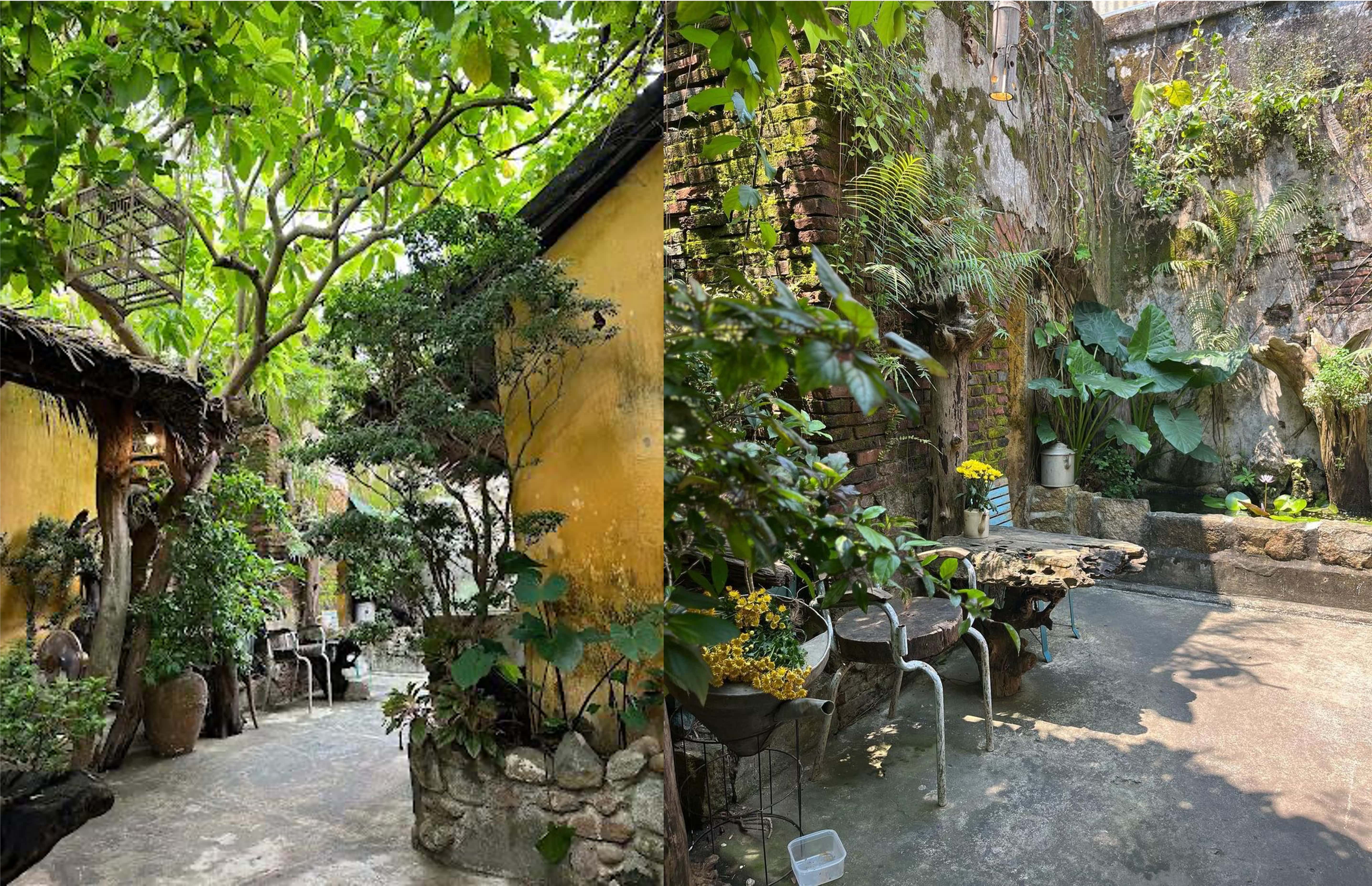 Hoi An Coffee Hub - Khu vườn bí mật giữa lòng phố cổ - 3