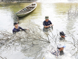  - Du khách thích trải nghiệm dỡ chà bắt cá ở Cà Mau