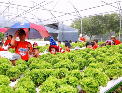  - Nông nghiệp công nghệ cao TP.HCM thu hút hàng chục ngàn du khách mỗi năm