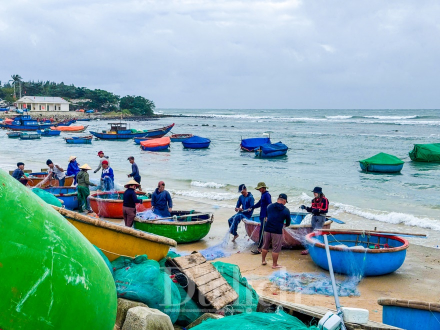 Ngư dân cất lưới, neo đậu thuyền ghe, bình tĩnh đón “bão chồng bão” - 11