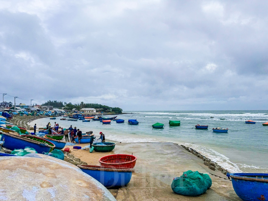 Ngư dân cất lưới, neo đậu thuyền ghe, bình tĩnh đón “bão chồng bão” - 12