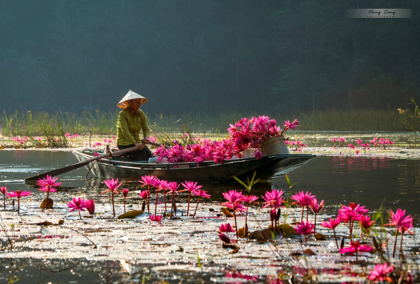 Mùa hoa súng nở rộ tạo nên cảnh đẹp như tranh ở Tam Cốc - 9