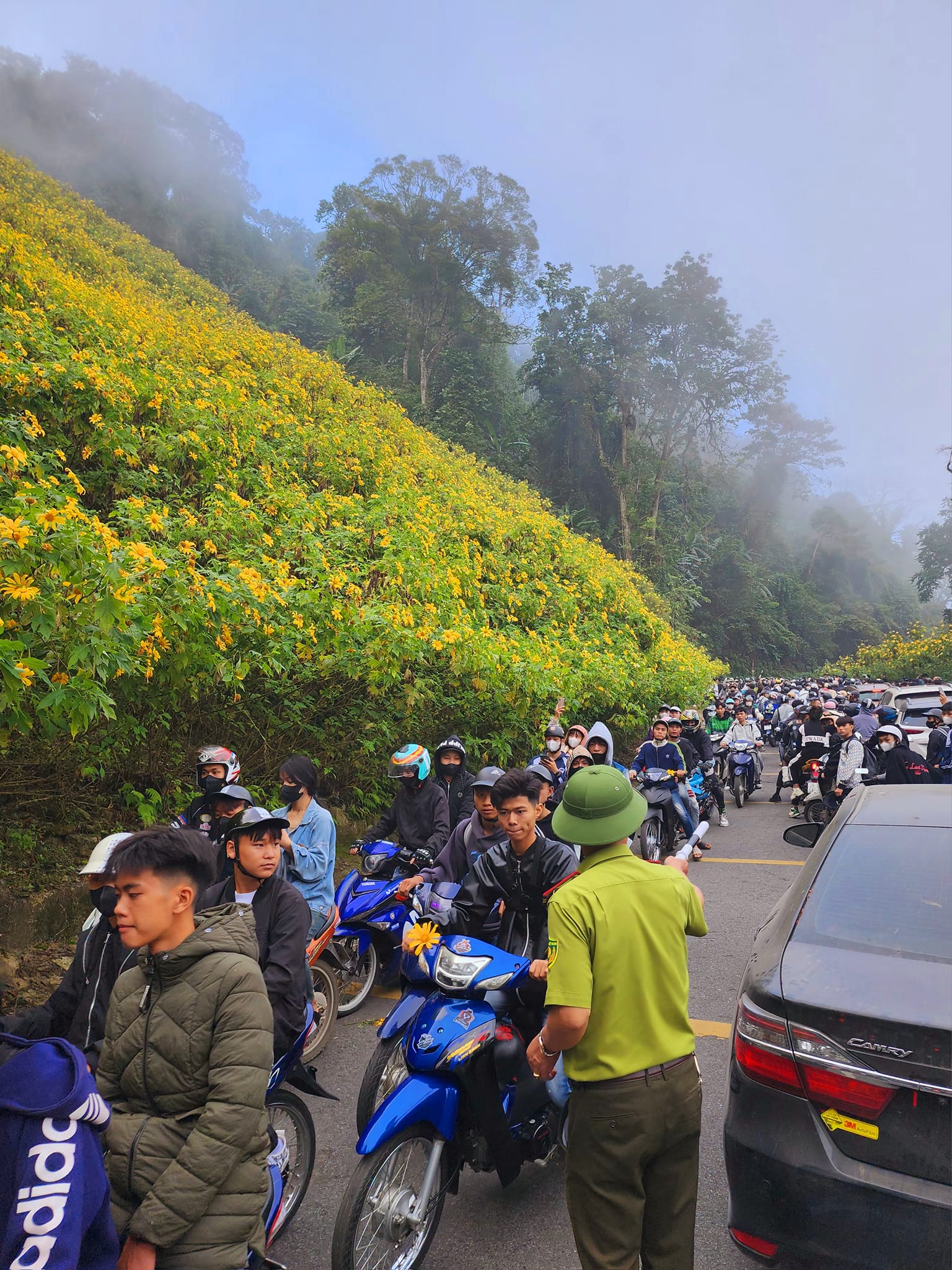 'Biển người' săn mây và hoa dã quỳ ở Vườn Quốc gia Ba Vì - 6