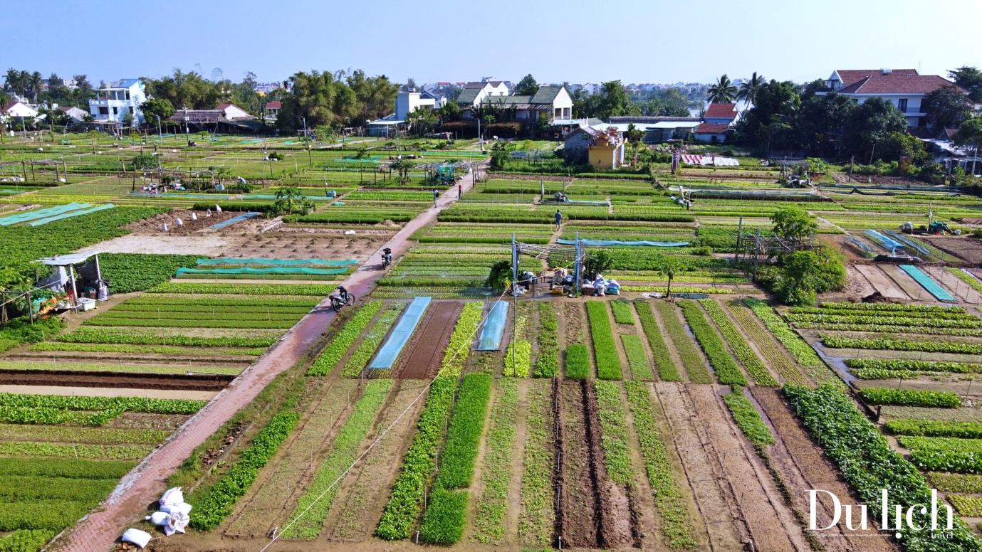 Về Hội An, thăm “Làng Du lịch tốt nhất thế giới” - 3