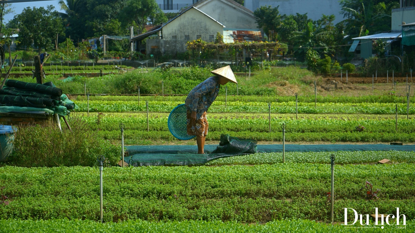 Về Hội An, thăm “Làng Du lịch tốt nhất thế giới” - 4