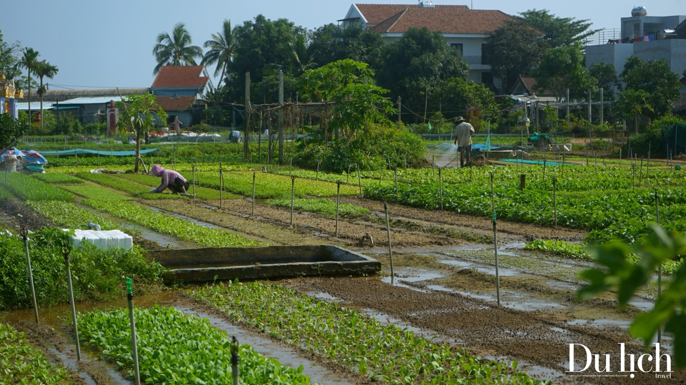 Về Hội An, thăm “Làng Du lịch tốt nhất thế giới” - 9