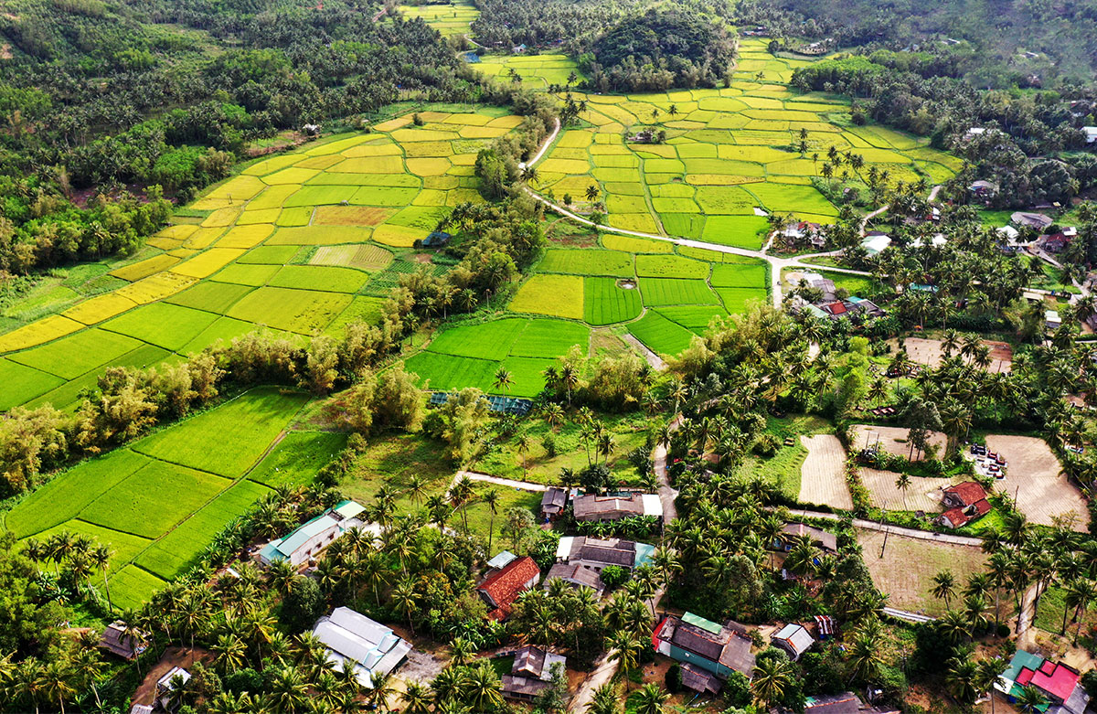 kham pha ve dep muon mau dat nuoc qua o cua tren chuyen tau bac- nam - 18