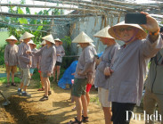 Nhiều doanh nghiệp du lịch hàng đầu thế giới sắp đến Quảng Nam bàn phát triển du lịch nông thôn