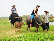 Chuyển động - Quảng bá làng quê Việt Nam đến với du khách quốc tế