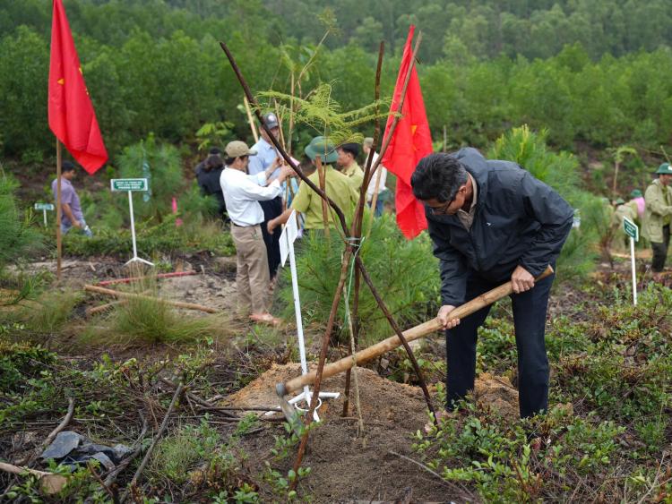 Trồng cây xanh tôn tạo cảnh quan ngọn núi cao nhất Huế