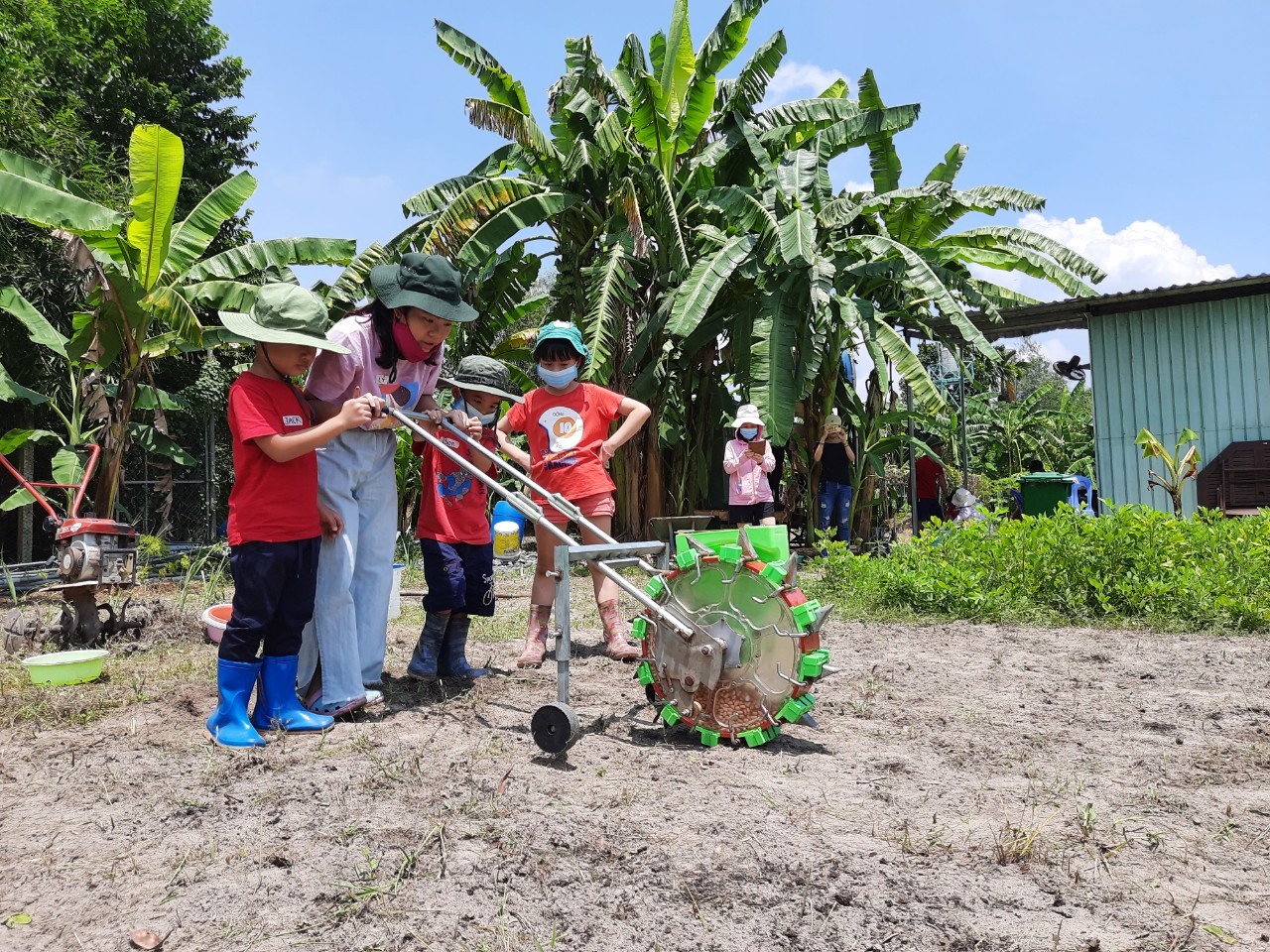 Du lịch nông thôn TP.HCM: Hành trình kết nối con người và nông nghiệp bền vững - 1