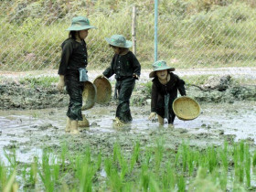  - Du lịch nông thôn TP.HCM: Cần những giải pháp đột phá