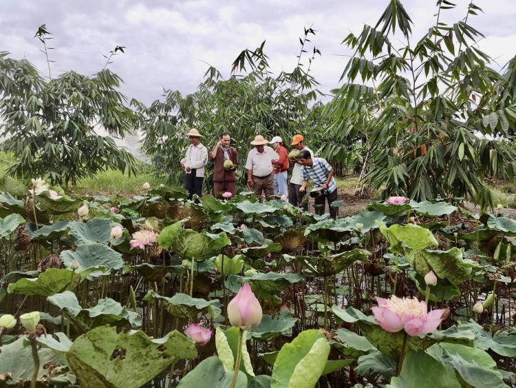 Chương trình tín dụng đột phá, thúc đẩy du lịch nông nghiệp TP.HCM phát triển