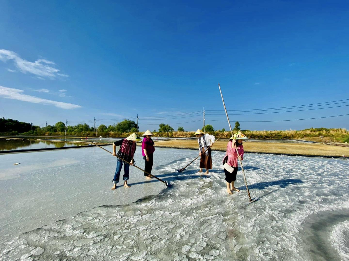 Bảy chính sách "vàng" giúp nông dân TP.HCM làm giàu từ du lịch - 1