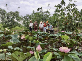  - Chương trình tín dụng đột phá, thúc đẩy du lịch nông nghiệp TP.HCM phát triển