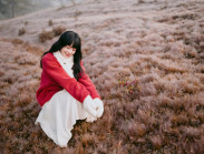  - Đồi cỏ tuyết đẹp mộng mơ ở Đà Lạt