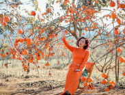  - Vườn hồng Mộc Châu khiến hội chị em mê mẩn tìm đến