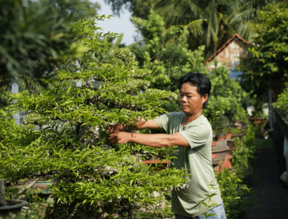  - Từ đam mê bonsai đến thu hàng trăm triệu mỗi năm