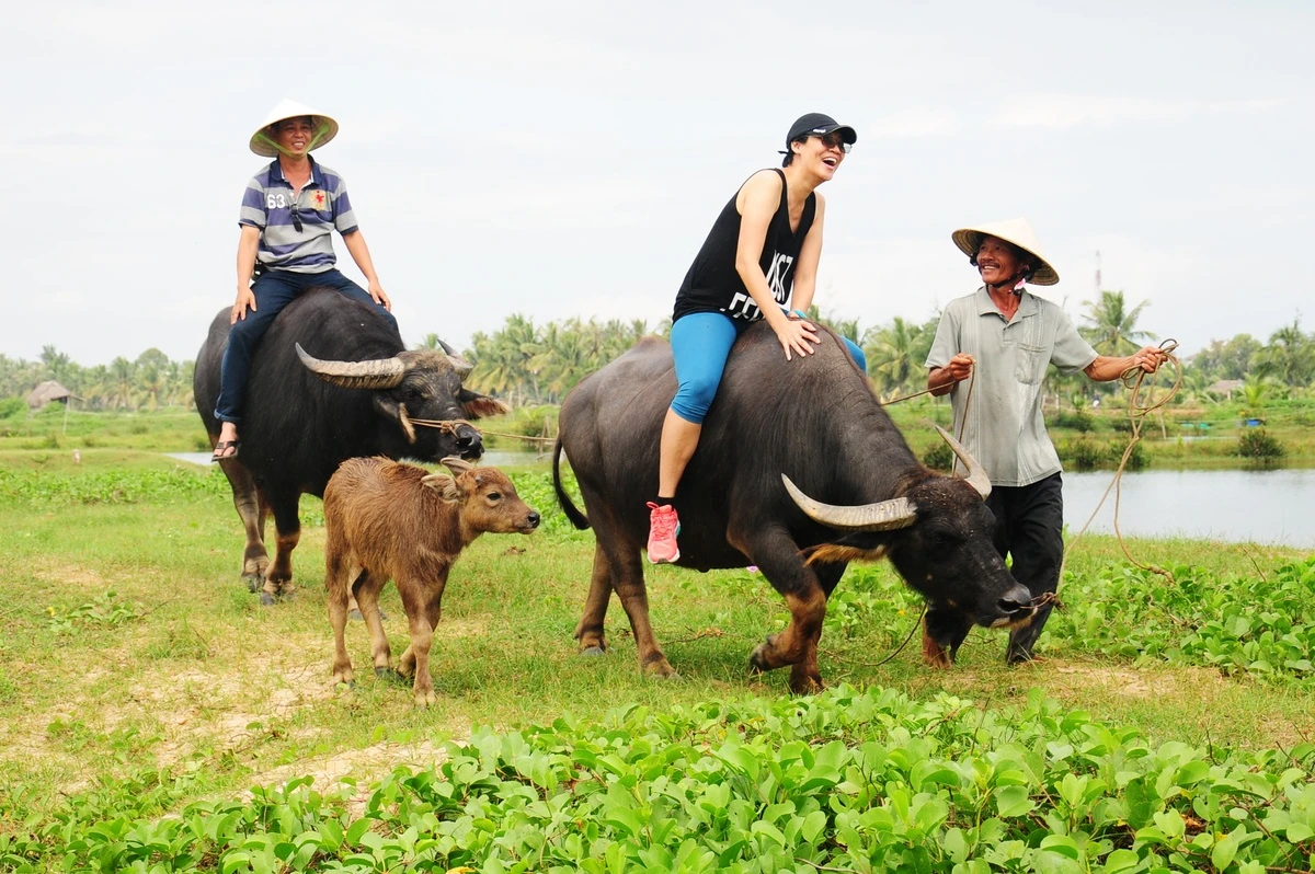 Khai mạc Hội nghị quốc tế toàn cầu về Du lịch Nông thôn tại Quảng Nam - 1