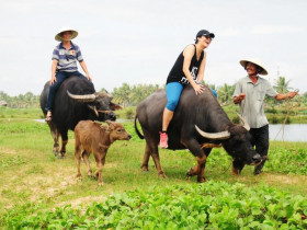  - Khai mạc Hội nghị quốc tế toàn cầu về Du lịch Nông thôn tại Quảng Nam