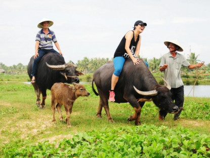 Chuyển động - Khai mạc Hội nghị quốc tế toàn cầu về Du lịch Nông thôn tại Quảng Nam