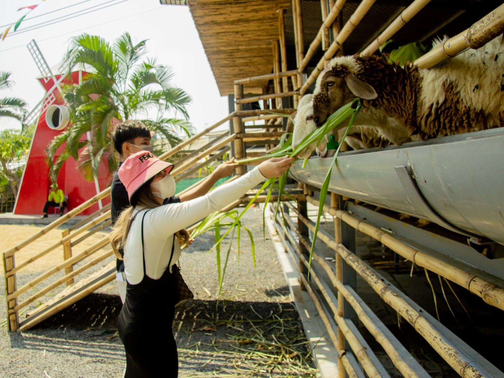 Du lịch nông thôn: Hành trình kết nối con người và thiên nhiên - 2