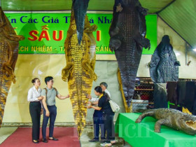 TP.HCM ra mắt tour du lịch nông thôn liên kết 4 quận, huyện