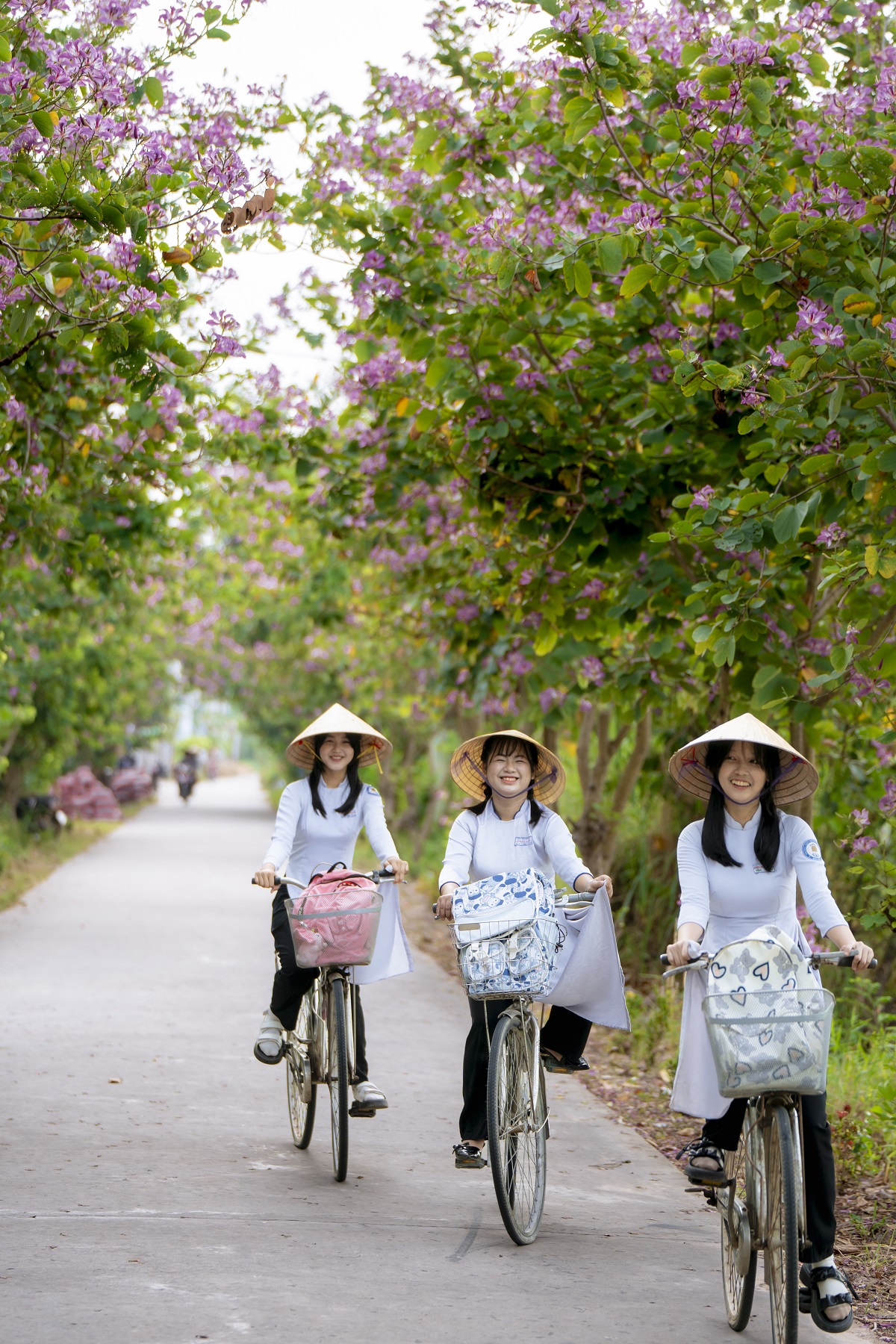 ve mien tay, chup hinh voi con duong hoa mong bo no ro - 2