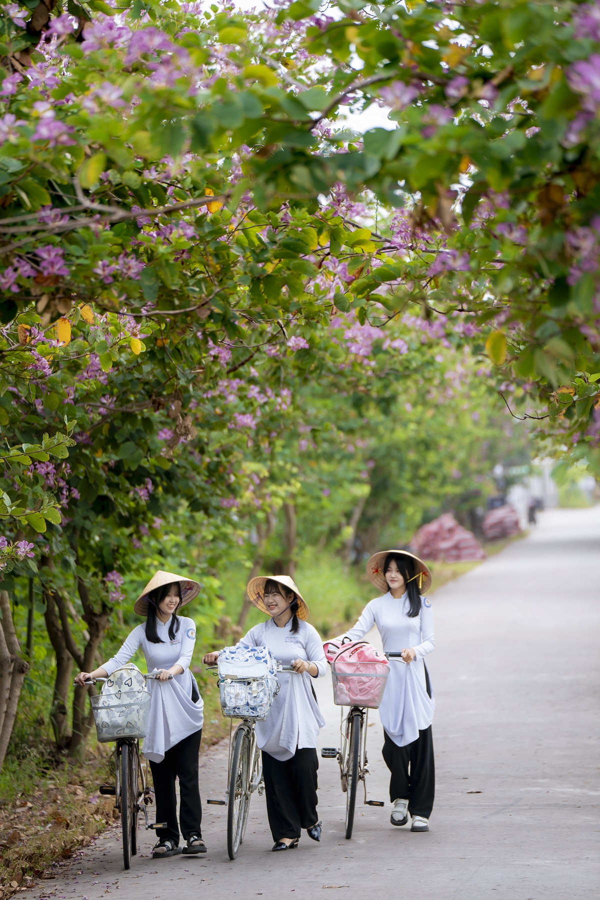 ve mien tay, chup hinh voi con duong hoa mong bo no ro - 1