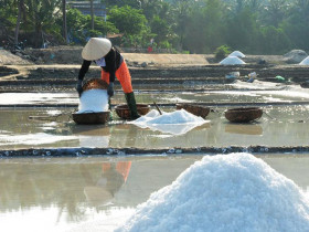  - Nghề làm muối Sa Huỳnh được công nhận là Di sản văn hóa phi vật thể quốc gia