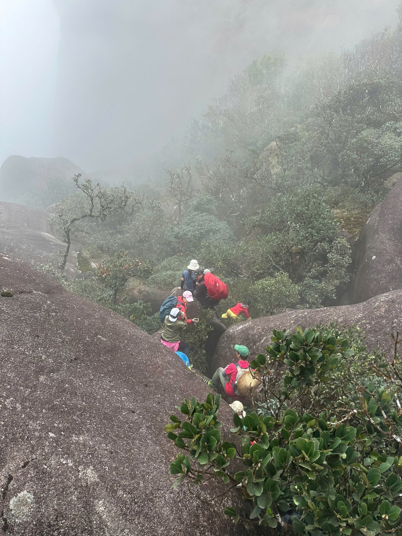 Kinh nghiệm “chống con vắt” khi leo núi, trekking đường rừng - 3