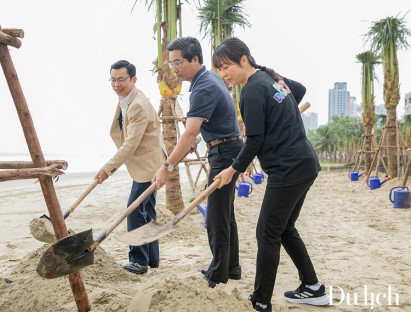  - Đà Nẵng trồng gần 3.500 cây dừa tại các bãi biển du lịch