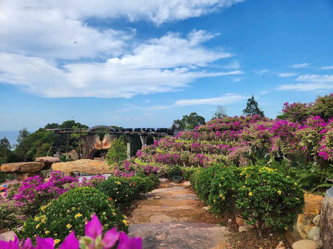 lac buoc o the peak - ‘vuon dia dang’ giua long phu quoc - 4