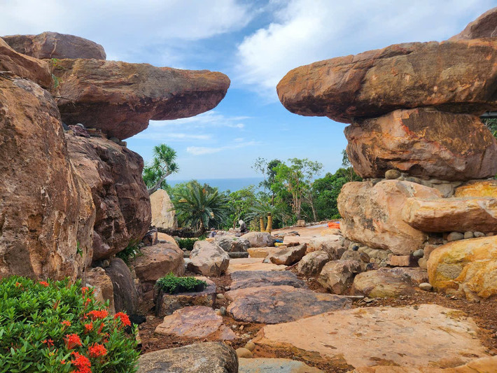 lac buoc o the peak - ‘vuon dia dang’ giua long phu quoc - 6