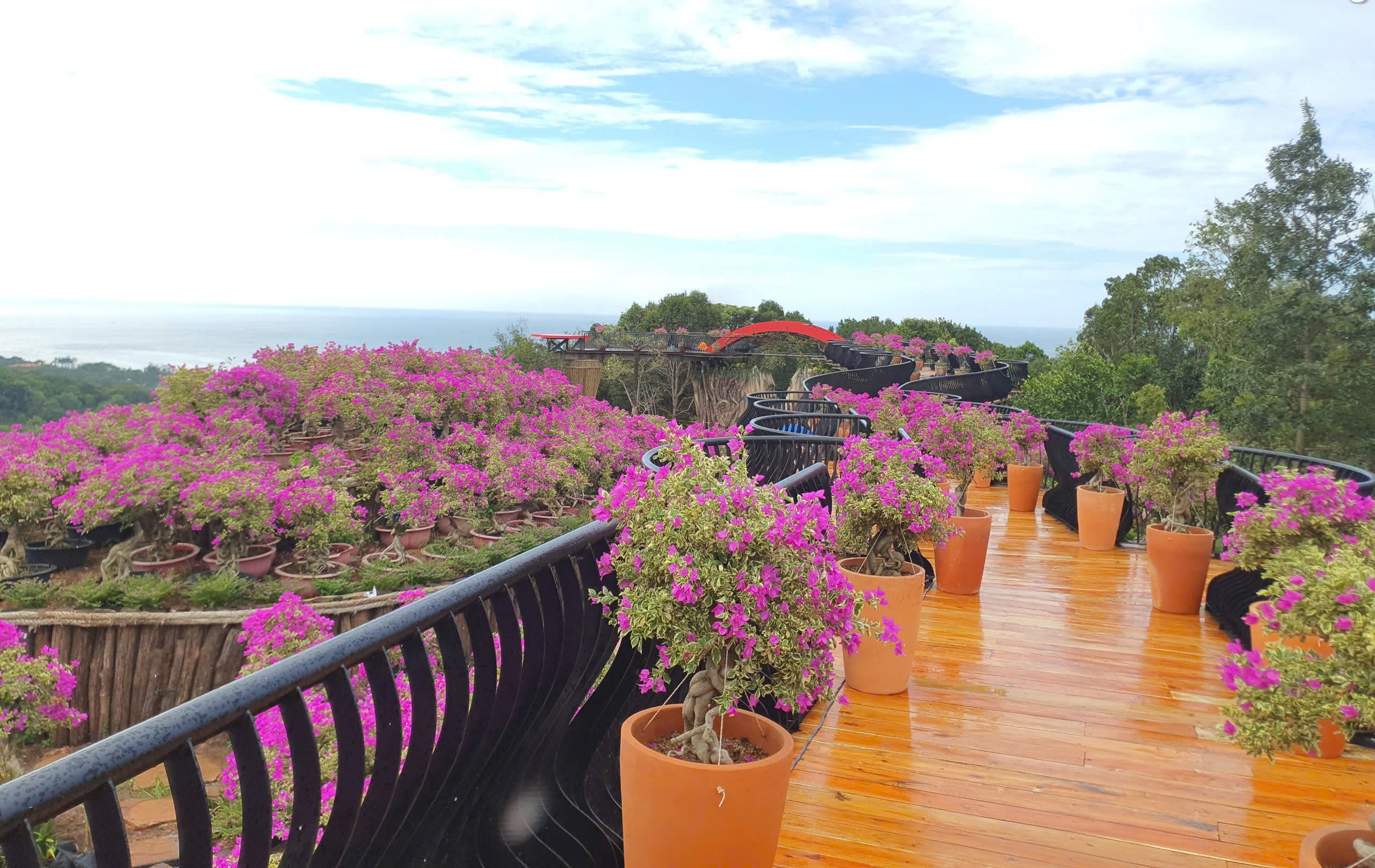 lac buoc o the peak - ‘vuon dia dang’ giua long phu quoc - 7