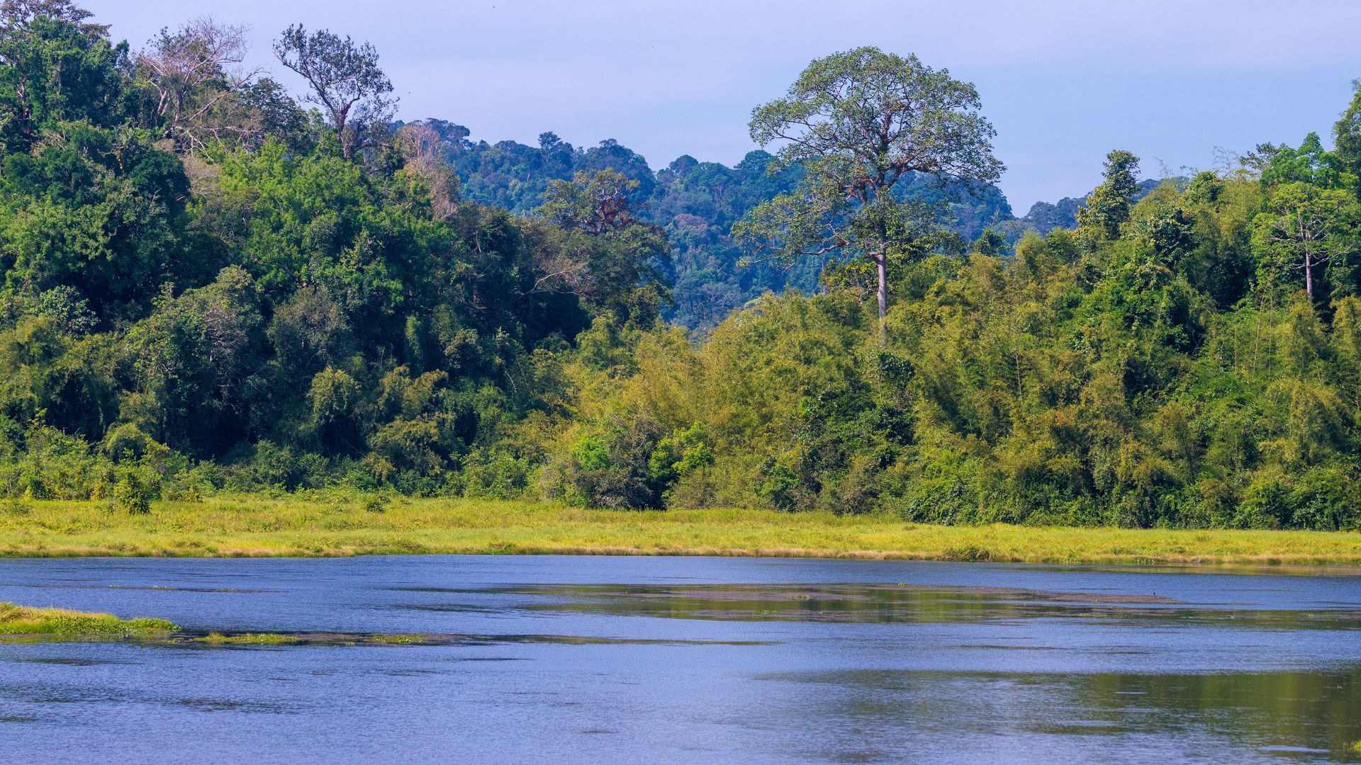 Collaboration and connectivity: The Key to advancing M.I.C.E tourism in Southeastern Vietnam - 2