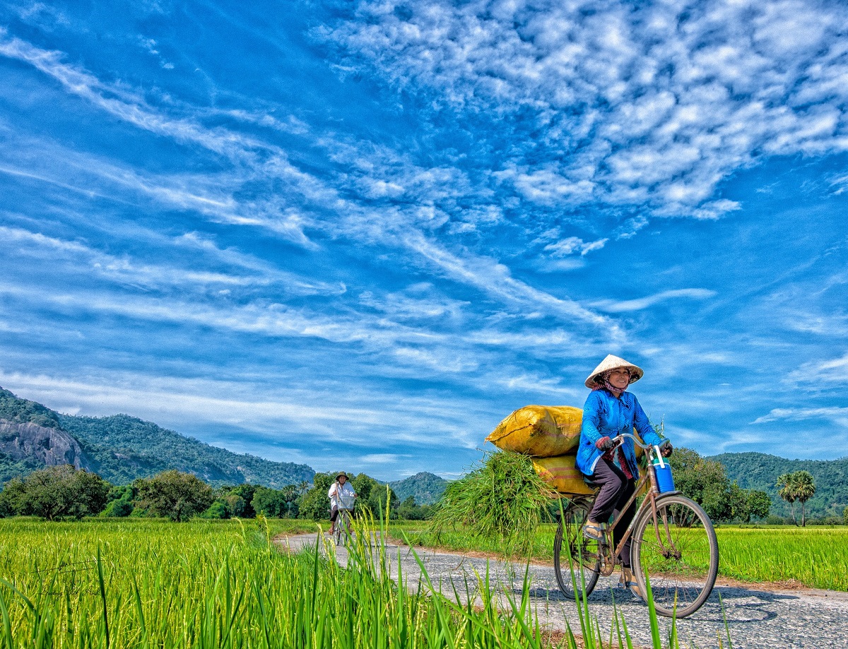 nhin lai nam 2024: khi nguoi tre ke chuyen qua nhung chuyen di - 27