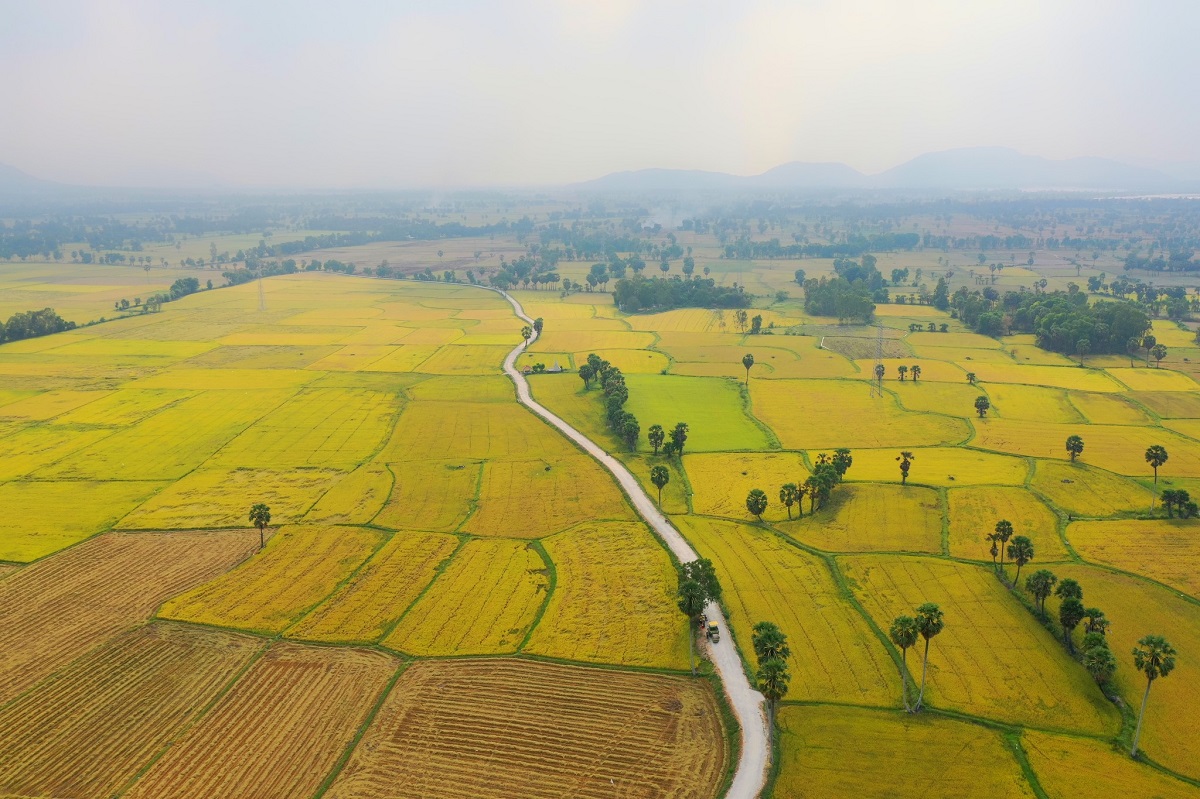 nhin lai nam 2024: khi nguoi tre ke chuyen qua nhung chuyen di - 22