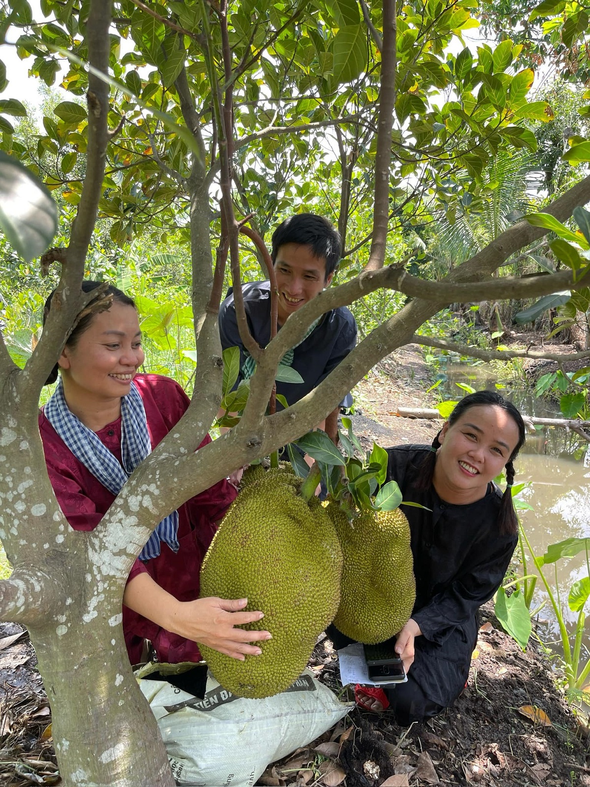 tet duong lich di chup hinh, kham pha nhung dia diem thu vi o tp.hcm - 15