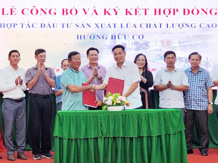 Làng du lịch thông minh trên cánh đồng ST25 hữu cơ ở Cần Thơ