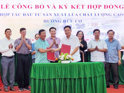 Chuyện hay - Làng du lịch thông minh trên cánh đồng ST25 hữu cơ ở Cần Thơ